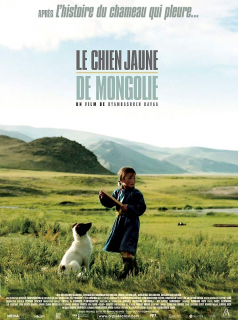 Le chien jaune de Mongolie