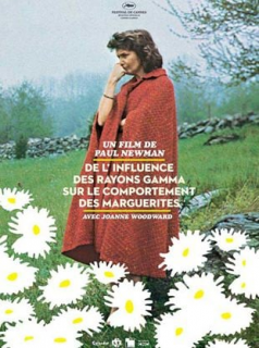 De l'influence des rayons gamma sur le comportement des marguerites