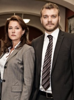 Borgen, une femme au pouvoir saison 2