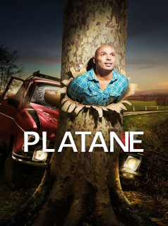 PLATANE