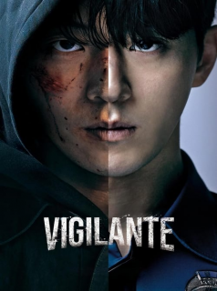 Vigilante saison 1