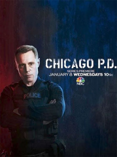 Chicago Police Department Saison 1 en streaming français