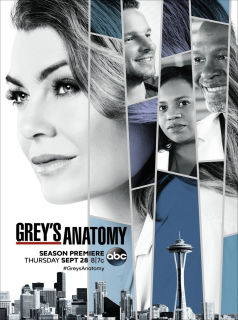 Grey's Anatomy Saison 20 en streaming français