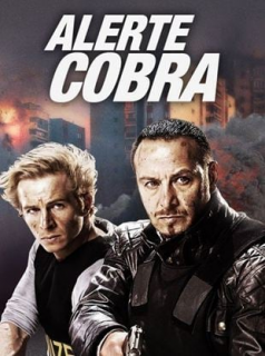 Alerte Cobra Saison 5 en streaming français